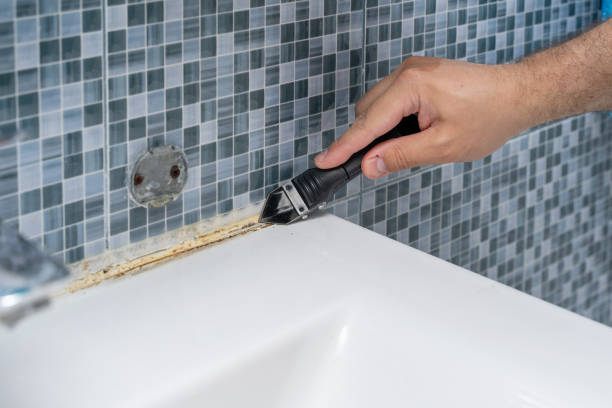 Rose Hill, NC Mold Removal Company