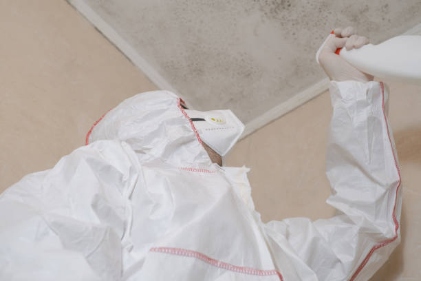 Best Affordable Mold Removal  in Rose Hill, NC