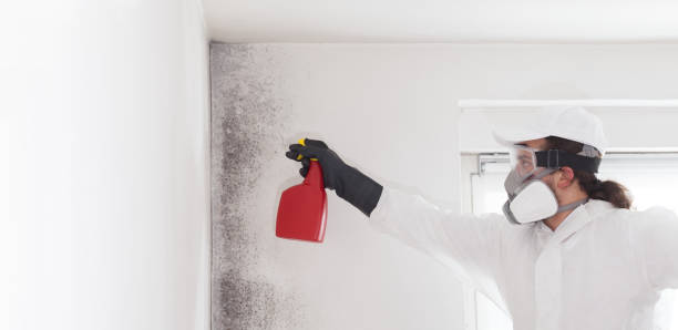 Crawl Space Mold Removal in Rose Hill, NC